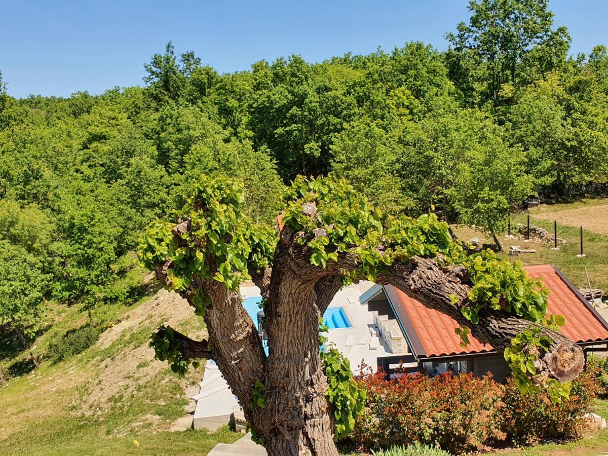 Casa Dei Boscarini Hotell Buje Exteriör bild